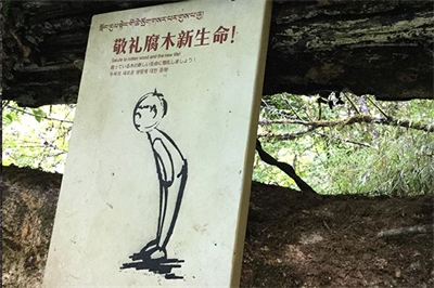 旅游景區(qū)標牌的規(guī)劃設(shè)計